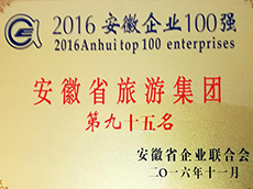 2016年(nián)度安徽企業100強