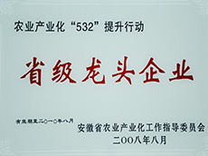 2008年(nián)度省級龍頭企業